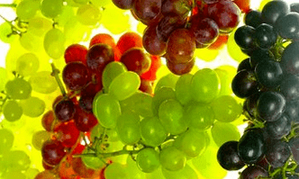 Ernärungskorrektur fir Krampfadern